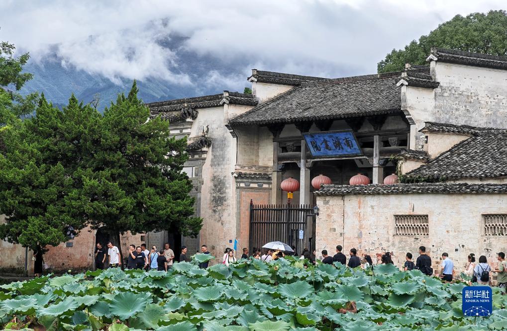 欢乐三张牌下载金花